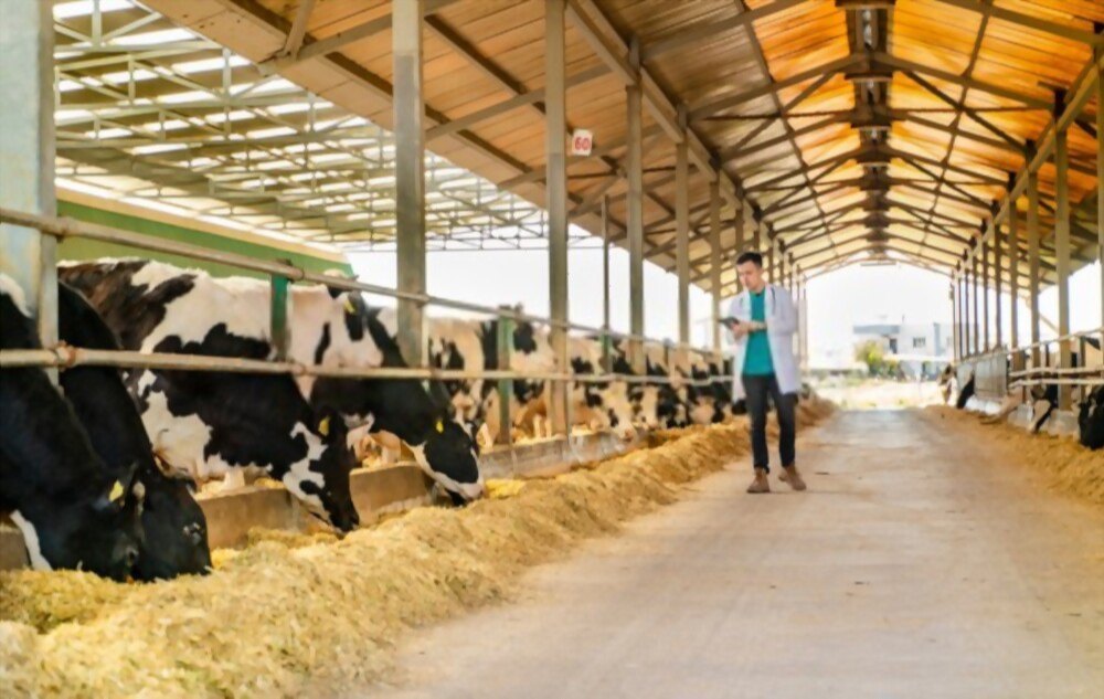 Physical Cattle Feed Testing Services, In Laboratory