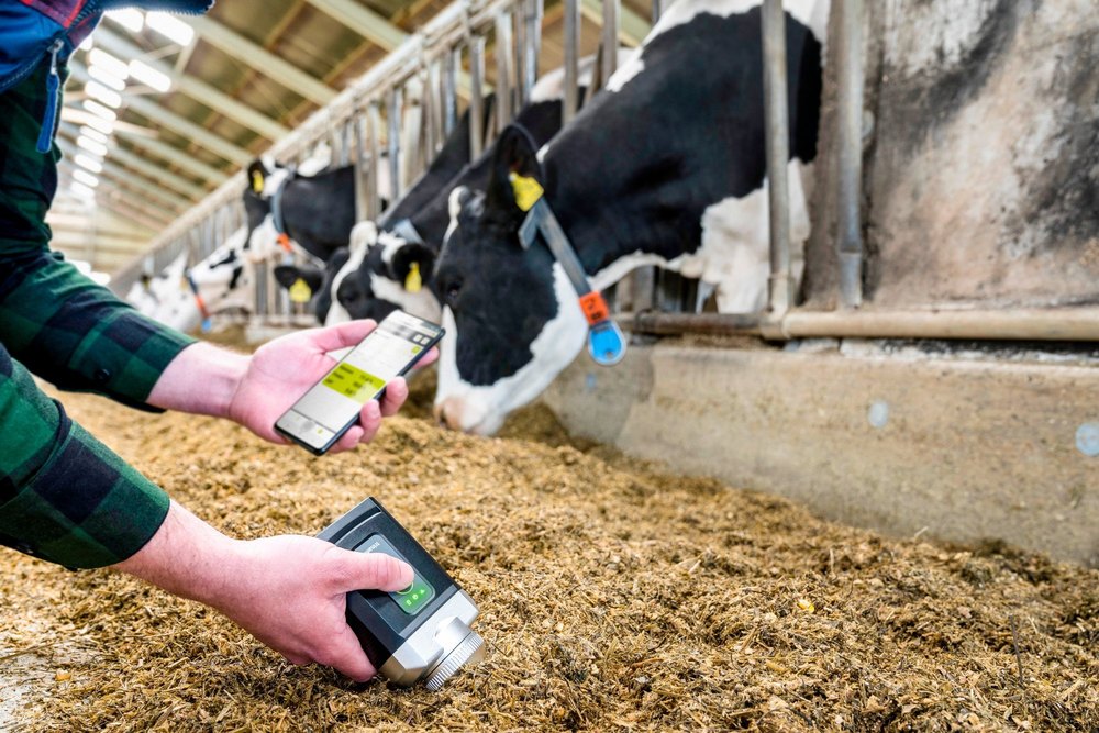 Nutritional Cattle Feed Testing Services, In Laboratory
