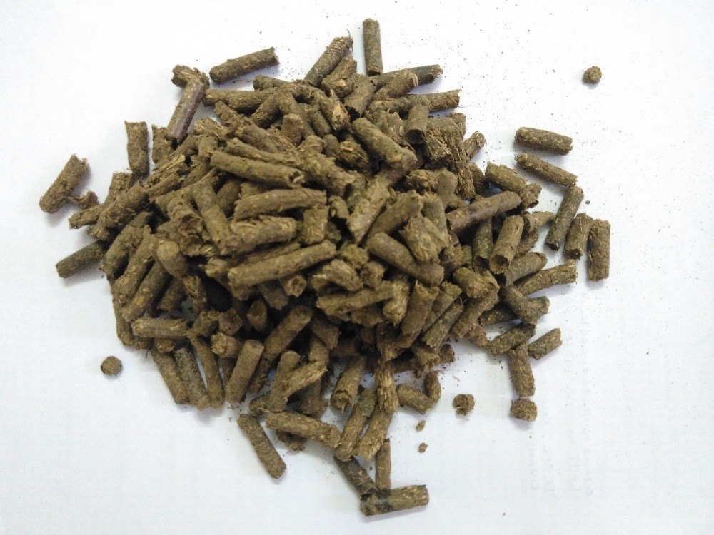 Cattle Feed Testing Service