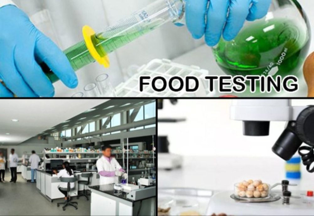 Physical Food Quality Testing Service