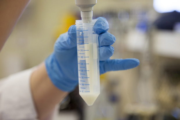 Milk Testing Service