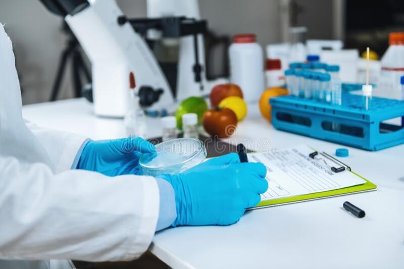 Chemical Dry Fruit Testing Services in Noida, Pan India