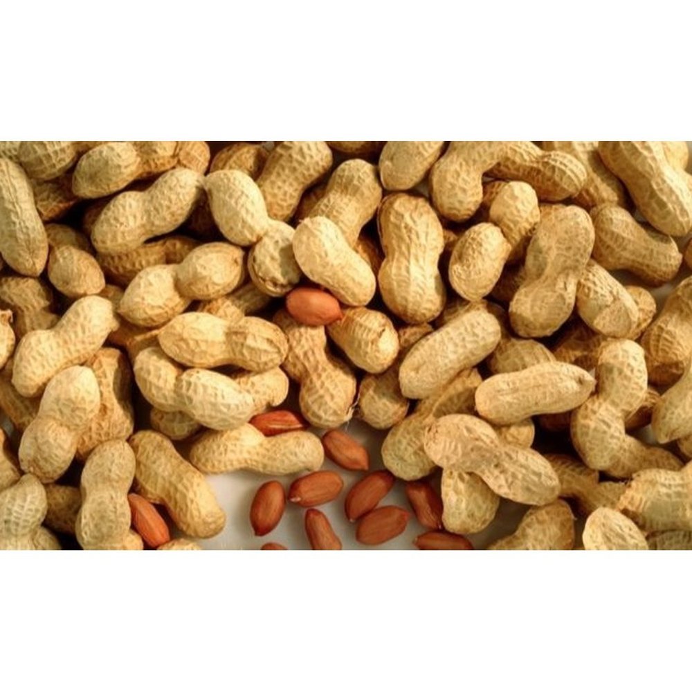 Nut Testing Service, In Laboratory