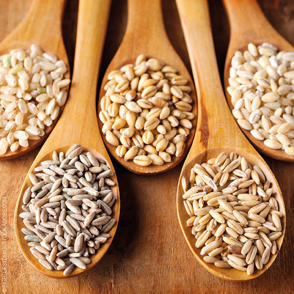 Nutritional Cereals Testing Services, Application Type: For Checking Quality, Pan India