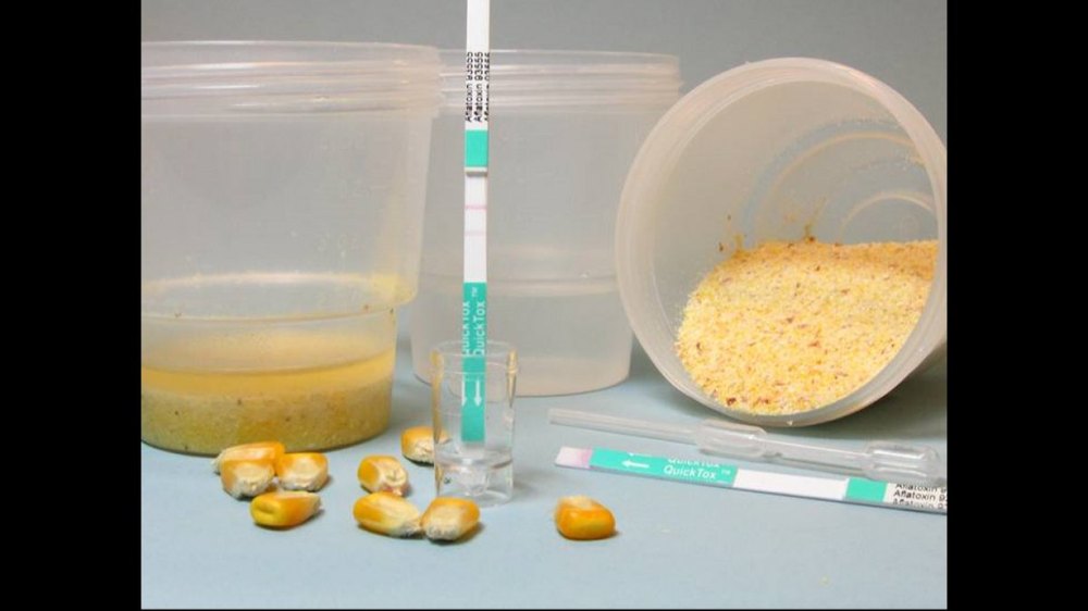 Food grains Testing