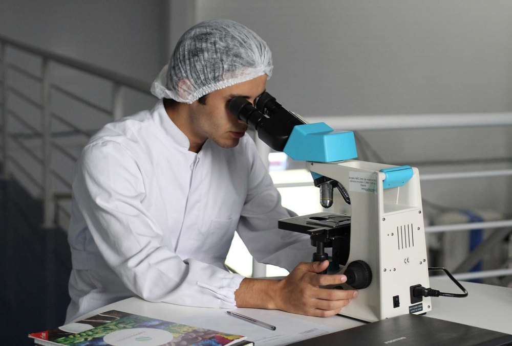 Cereals Testing Service