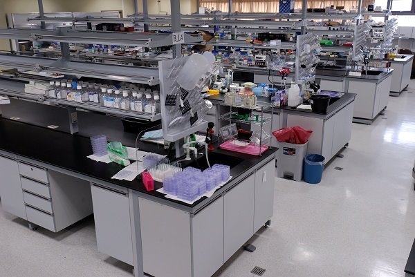 Laboratory Set Up