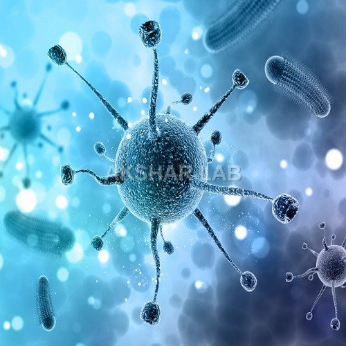Microbiological Testing Services