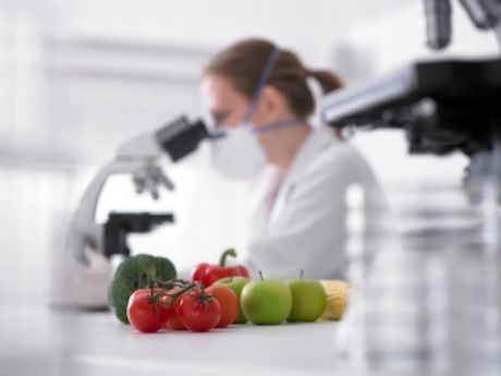 Physical Food Microbiology Services, In Laboratory