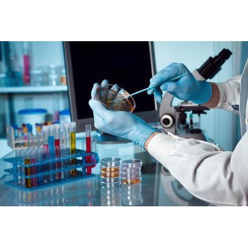 Biological Testing Service, In Laboratory