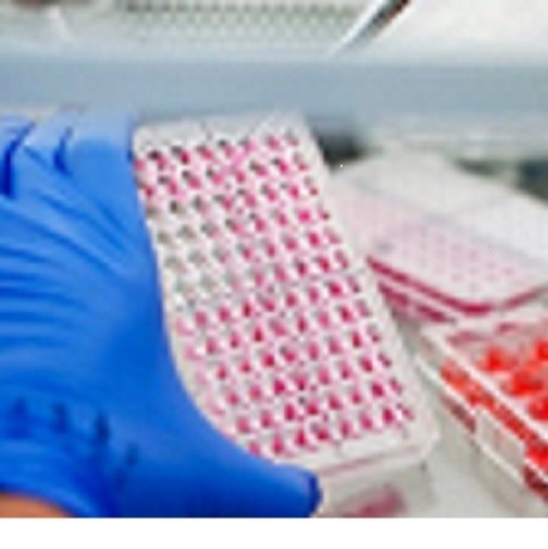 Chemical Toxicology Laboratory Testing Services, in New Delhi, Industrial