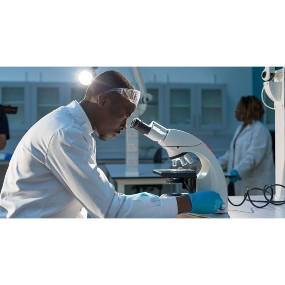 Recreate Human Tissue For Toxicological Testing Service, India