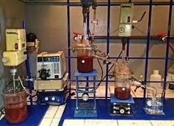 Toxic Element Testing Service