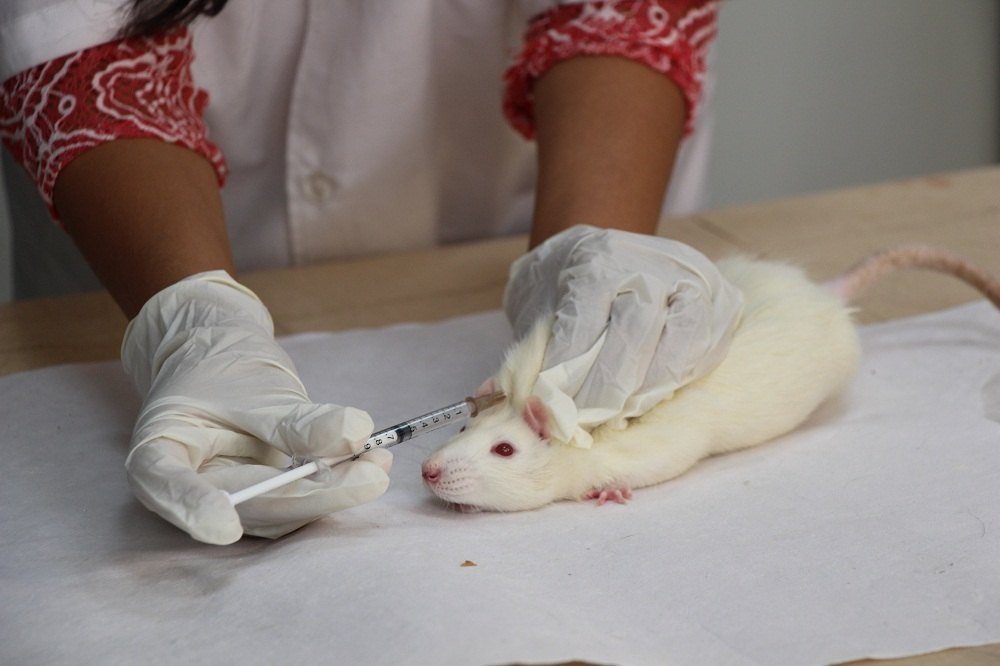 Toxicology Laboratory Testing Service