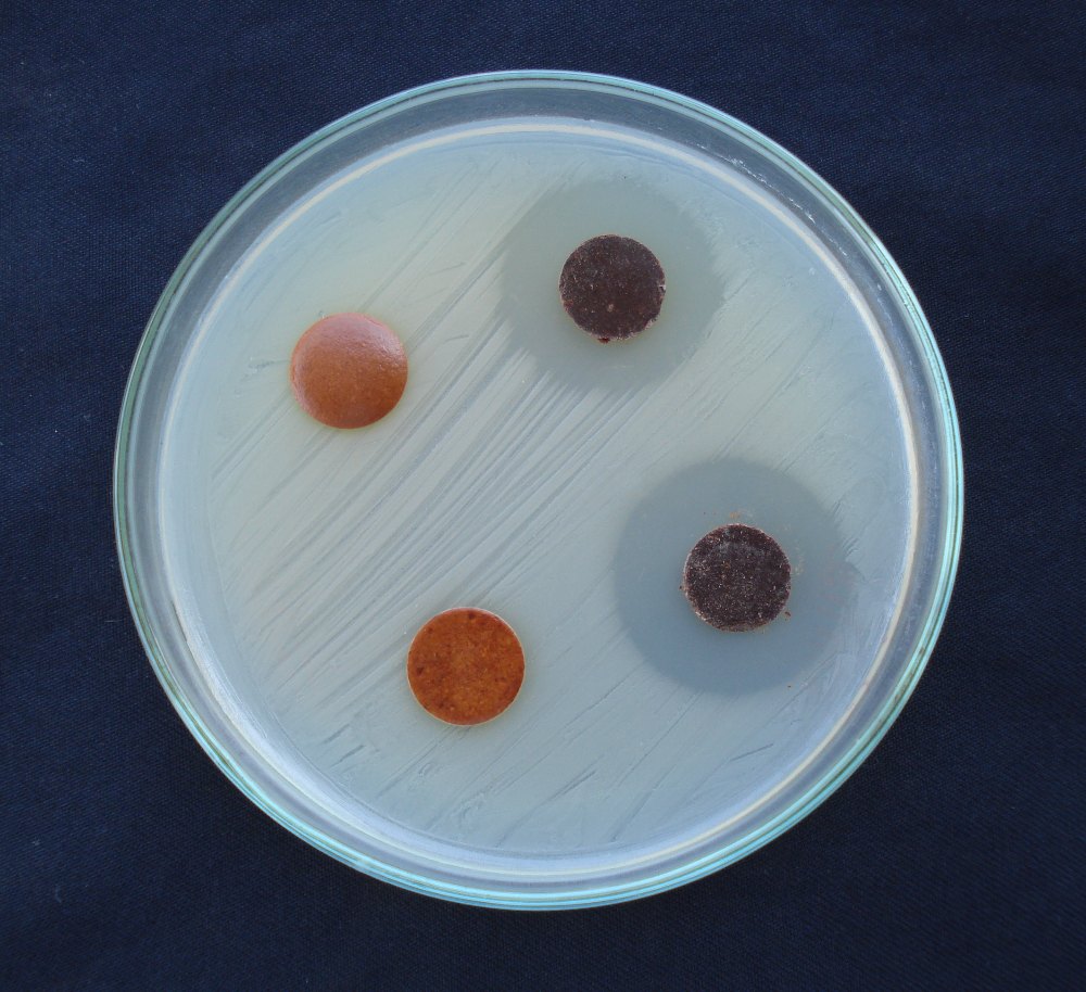 Biological Compound Sensitivity Tests Service, in Pan India
