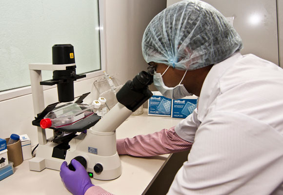 Toxicology Services