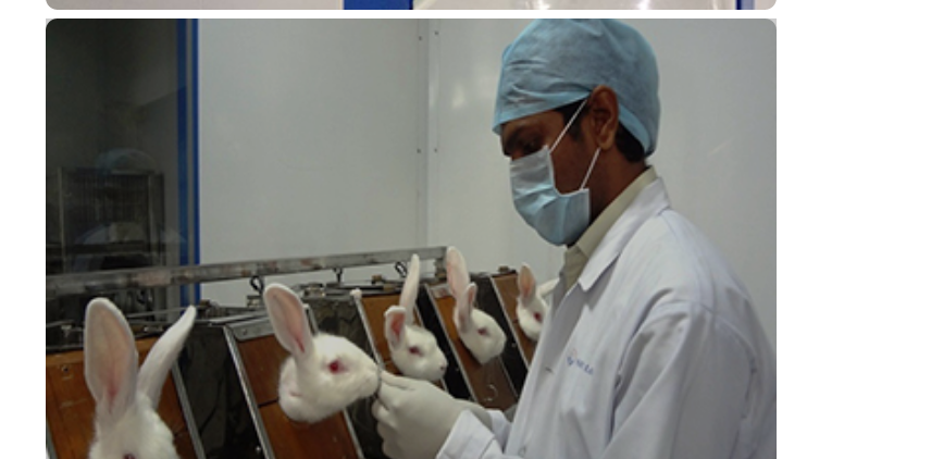 Genetic Toxicology Studies Service