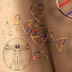 Toxicological Testing