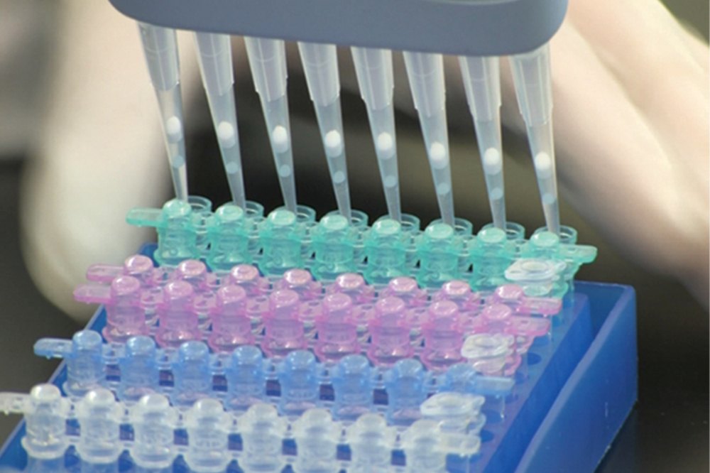 Pathogens Pathogen Testing