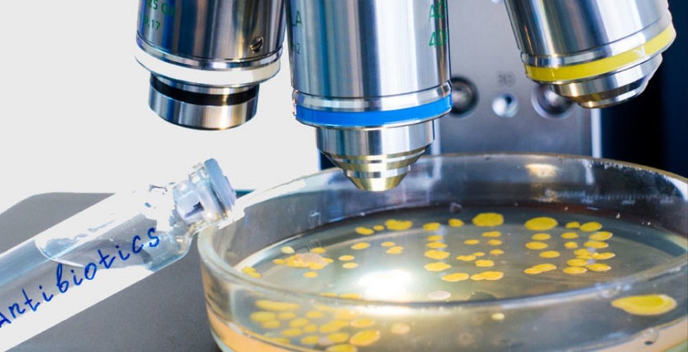 Pathogen Testing, In Laboratory