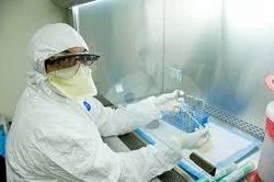 Pathogen Testing Services, In Laboratory