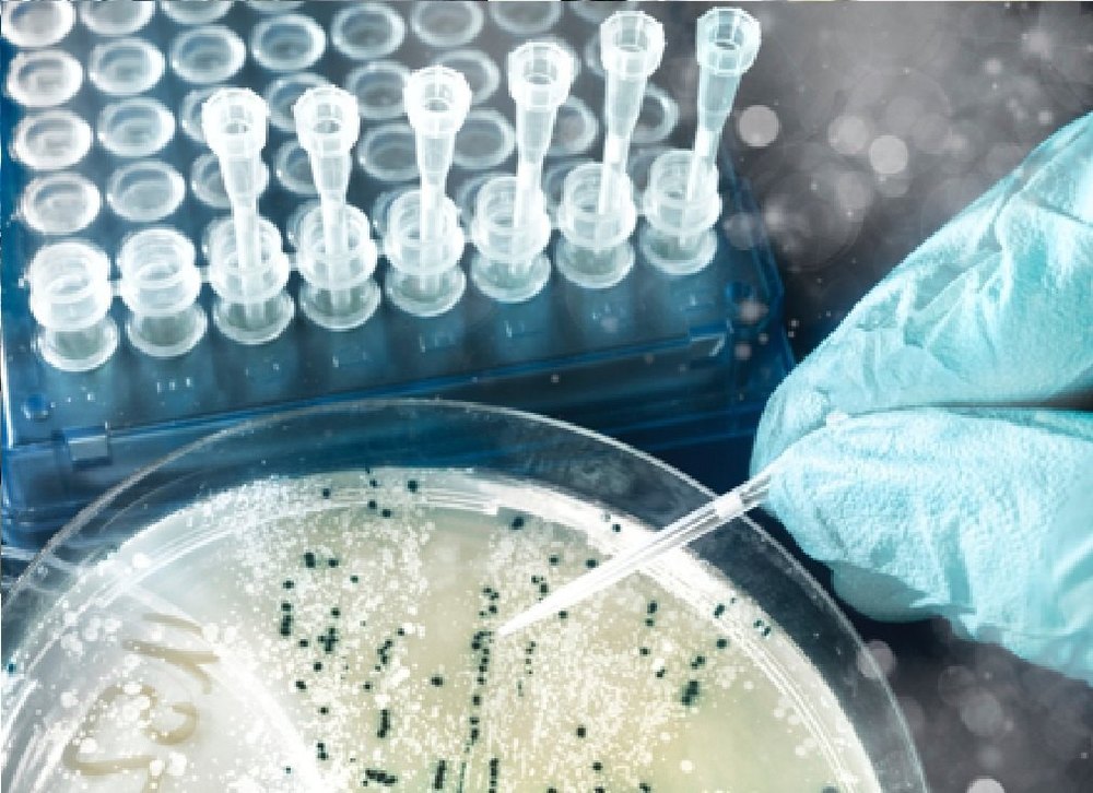 Chemical Pathogen Testing Service, In Laboratory, Pan India