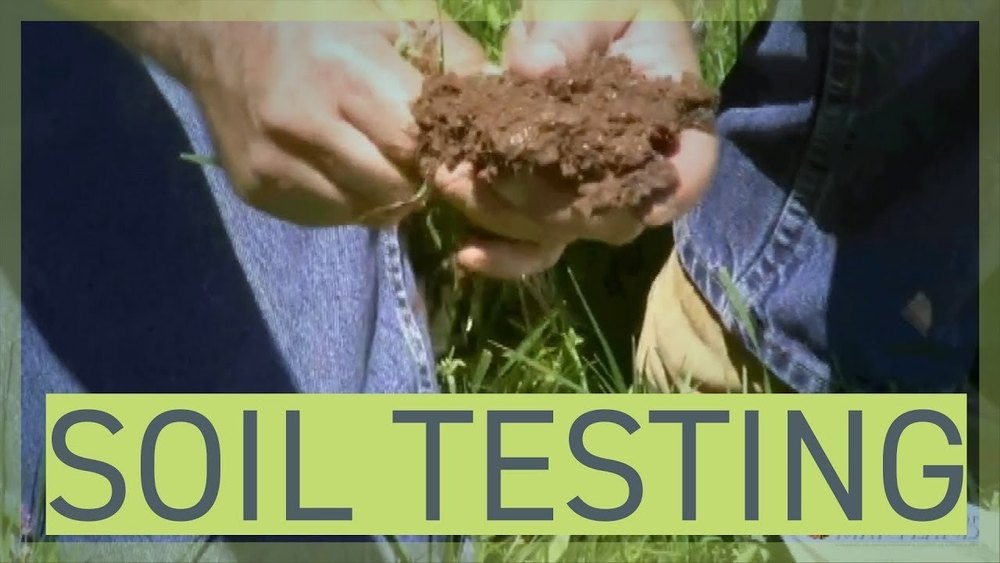 Soil Agriculture Lab Testing Service