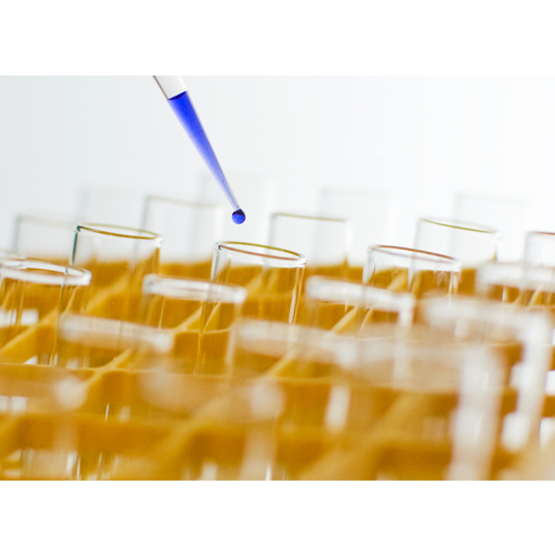 Waste Analysis