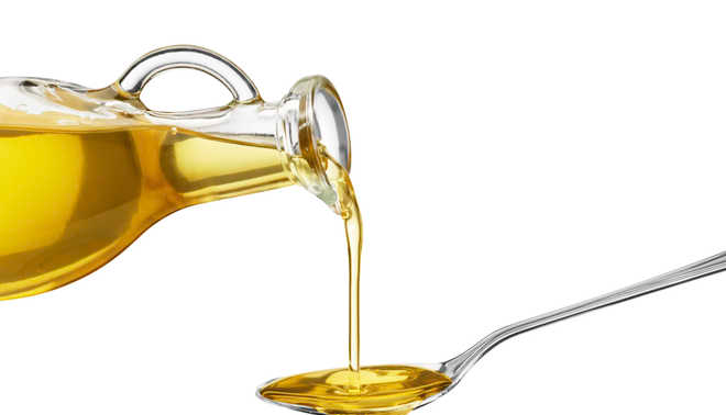 Oil And Fats Testing Service