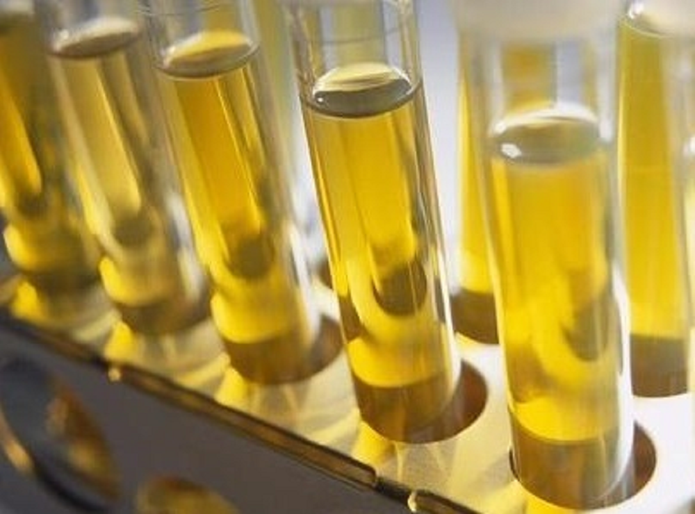 Mineral Type and its Level Fuel Testing Service