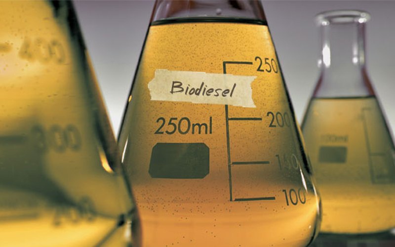BIODIESEL TESTING SERVICES