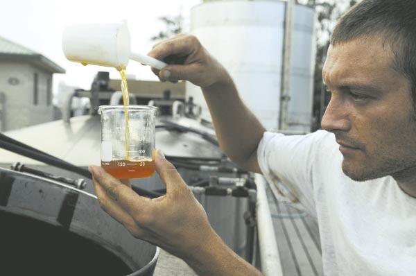 Bio Diesel Testing Service
