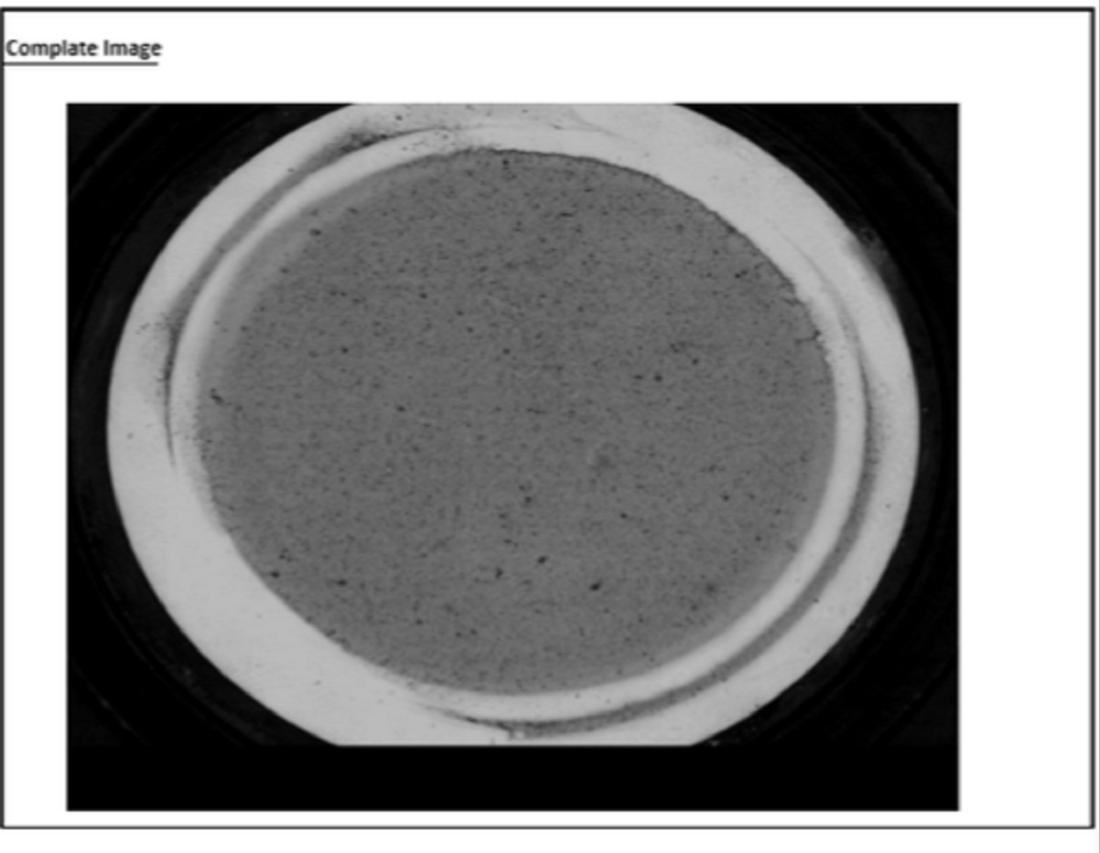 Cleanliness Particle Analysis Testing Service, Pune Maharastra
