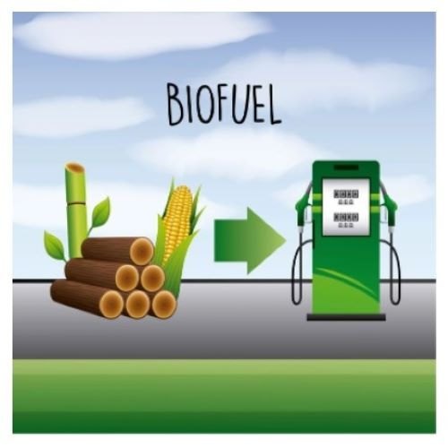 Physical Characteristics Kolkata Biofuel Testing Services, Quantification