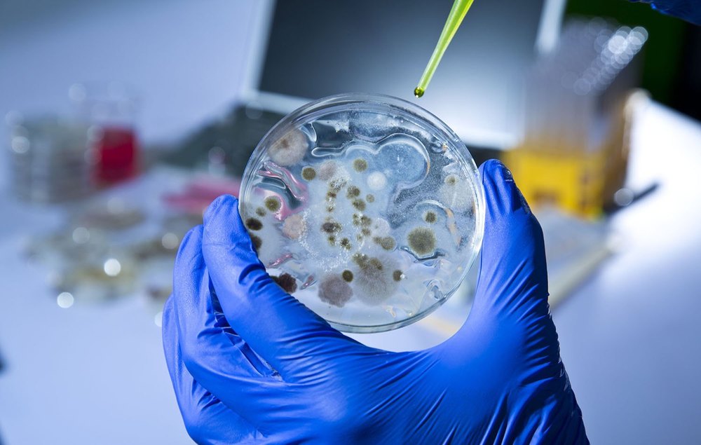 Bio Tech Testing Services