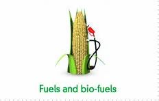 Biofuels Testing Service