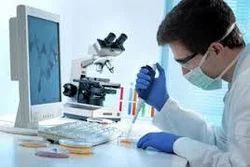 Chemical Lab Works