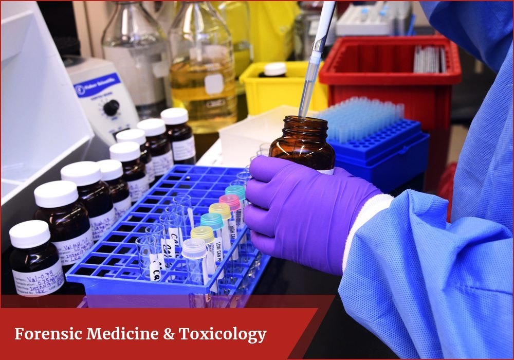 Toxicity Testing Service