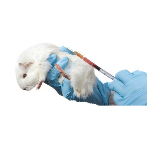 Acute Systemic Toxicity Services