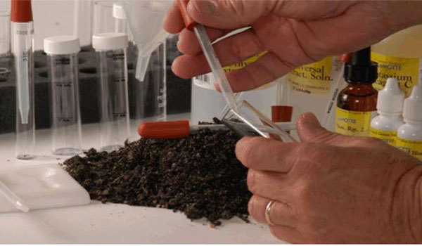 Soil Moisture Content Analysis Service