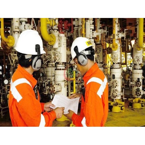 Plants Oil And Gas Valve Third Party Inspection Service for Industrial