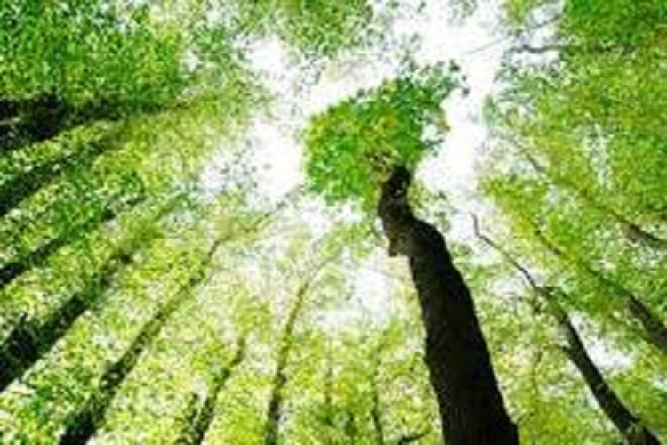Environmental Testing Laboratories for Industrial
