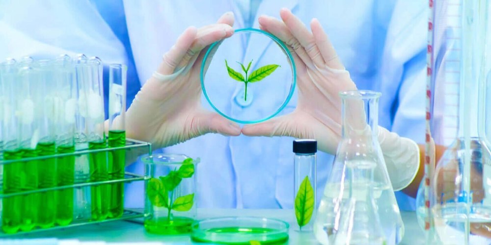 Environmental Laboratory Services