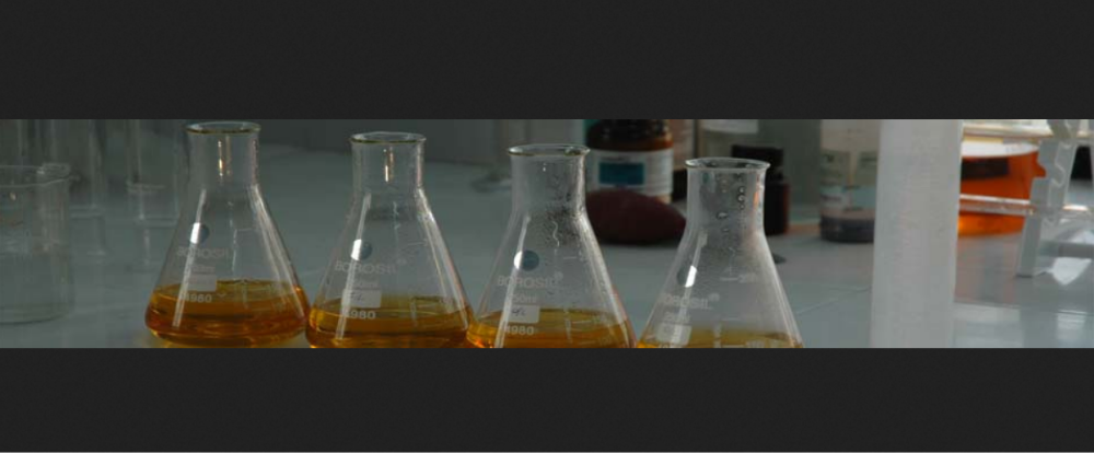 Environment Laboratory Services