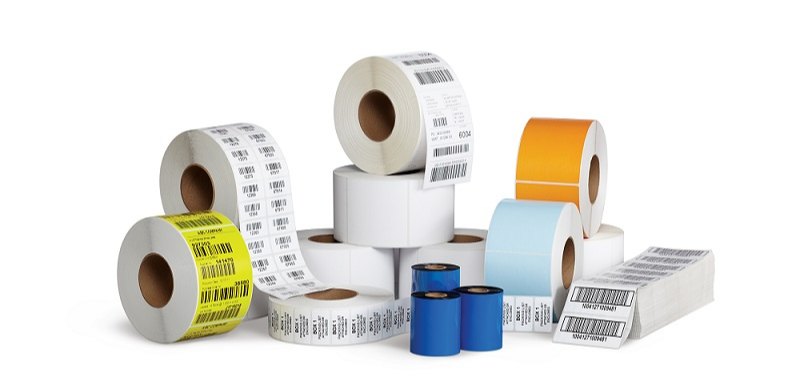 TE244 Barcode Label Printing, Max. Print Width: 4 inches, Resolution: 203 DPI (8 dots/mm)