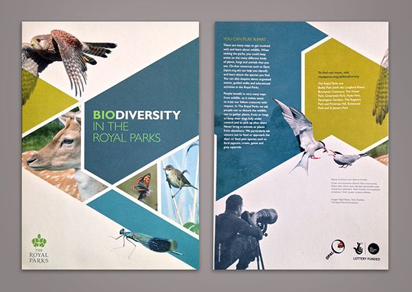 Custom Brochure Printing Services