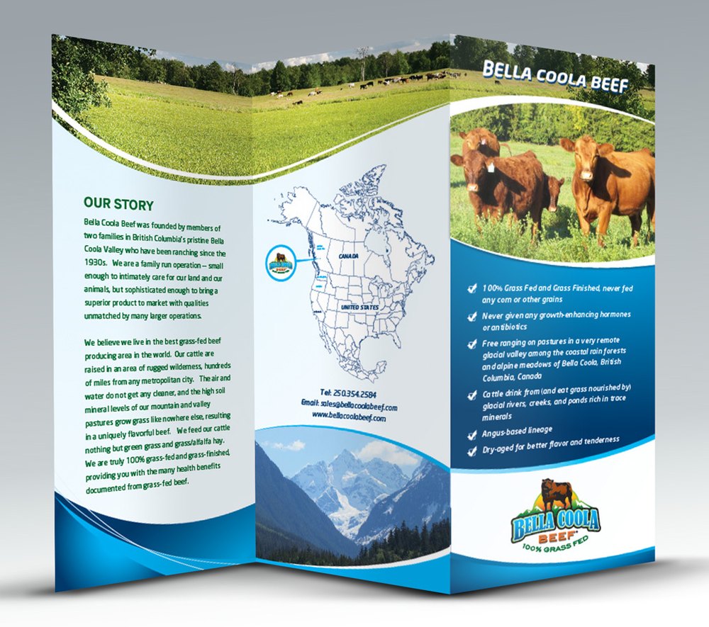 PVC Brochure Printing Pune