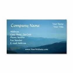 Vinyl Business Card Printing Service, in Pan India