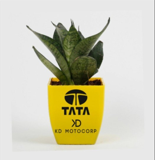 Corporate Logo Printing Service On Pots, In Delhi