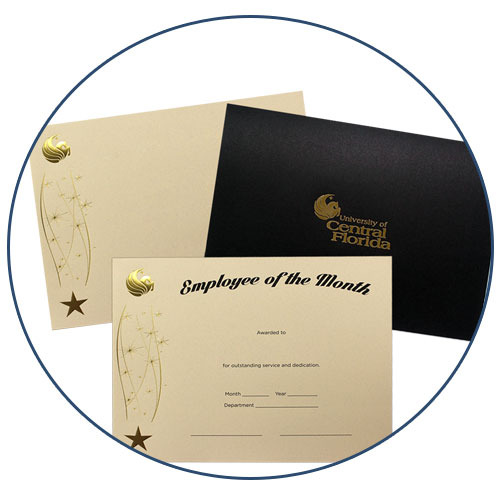 Paper Certificate Printing, in Pan India